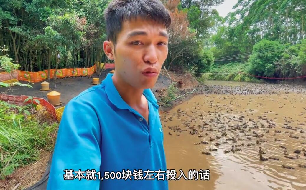 养鸭