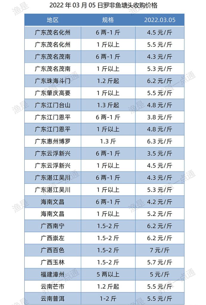 【渔是特约】2022.03.05，罗非鱼、斑叉、黄颡、加州鲈、花鲢、鳊鱼、草鱼、鲫鱼、鲤鱼、黑鱼、海鲈、鳜鱼，塘头收购价