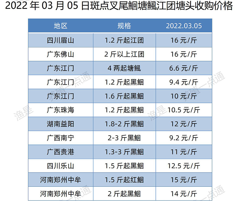 【渔是特约】2022.03.05，罗非鱼、斑叉、黄颡、加州鲈、花鲢、鳊鱼、草鱼、鲫鱼、鲤鱼、黑鱼、海鲈、鳜鱼，塘头收购价