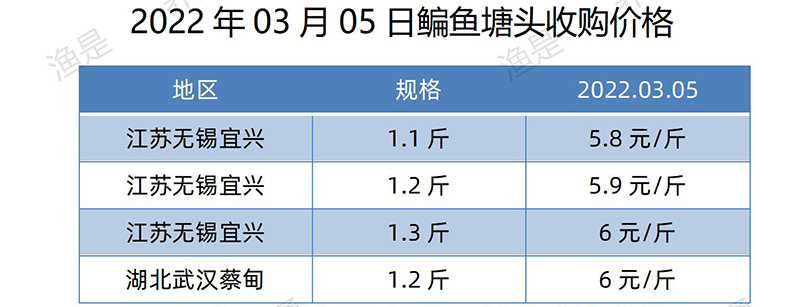 【渔是特约】2022.03.05，罗非鱼、斑叉、黄颡、加州鲈、花鲢、鳊鱼、草鱼、鲫鱼、鲤鱼、黑鱼、海鲈、鳜鱼，塘头收购价