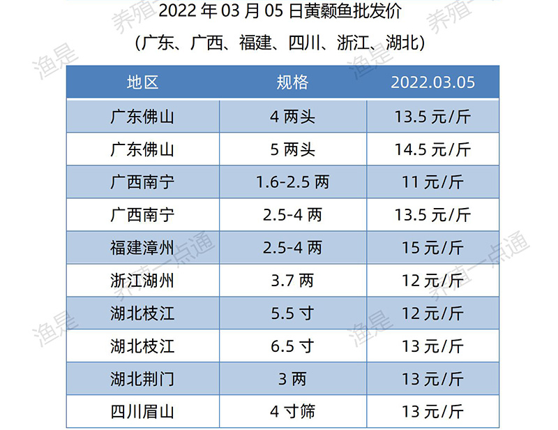 【渔是特约】2022.03.05，罗非鱼、斑叉、黄颡、加州鲈、花鲢、鳊鱼、草鱼、鲫鱼、鲤鱼、黑鱼、海鲈、鳜鱼，塘头收购价