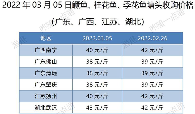 【渔是特约】2022.03.05，罗非鱼、斑叉、黄颡、加州鲈、花鲢、鳊鱼、草鱼、鲫鱼、鲤鱼、黑鱼、海鲈、鳜鱼，塘头收购价