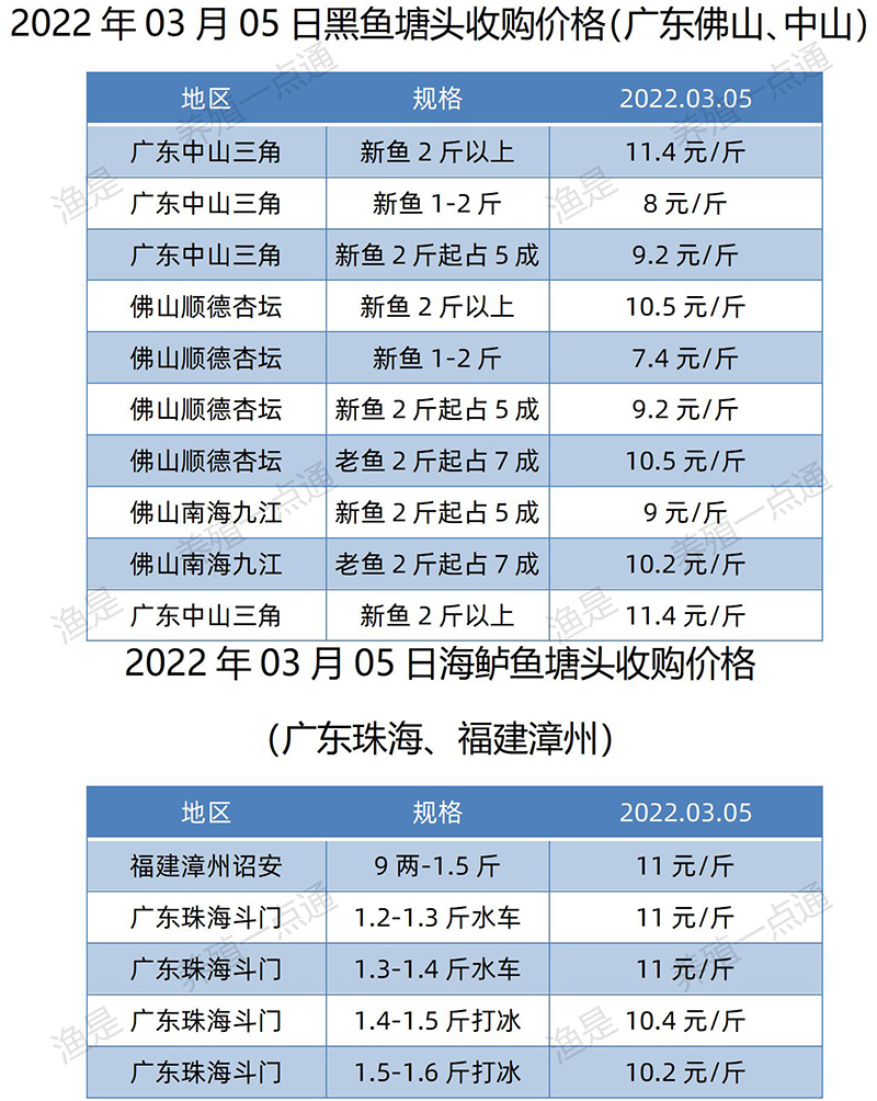 【渔是特约】2022.03.05，罗非鱼、斑叉、黄颡、加州鲈、花鲢、鳊鱼、草鱼、鲫鱼、鲤鱼、黑鱼、海鲈、鳜鱼，塘头收购价