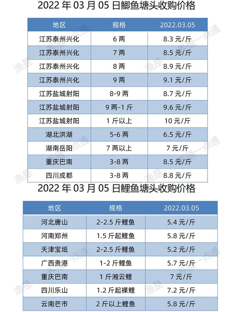 【渔是特约】2022.03.05，罗非鱼、斑叉、黄颡、加州鲈、花鲢、鳊鱼、草鱼、鲫鱼、鲤鱼、黑鱼、海鲈、鳜鱼，塘头收购价