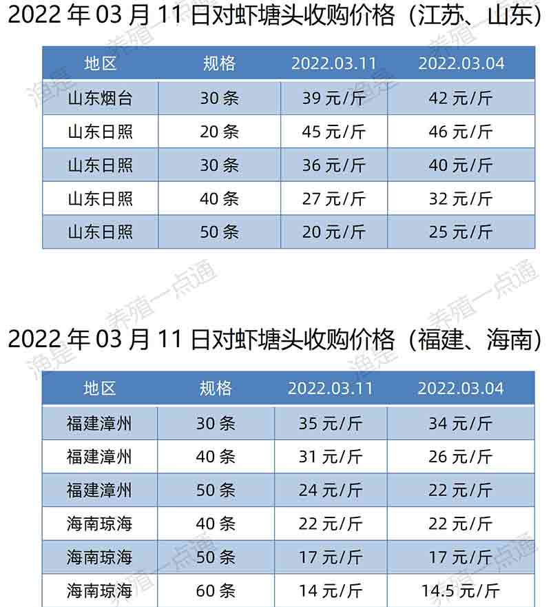 【渔是特约】2022.03.11，南美白对虾塘头收购价格（广东、江苏、山东、福建、海南）