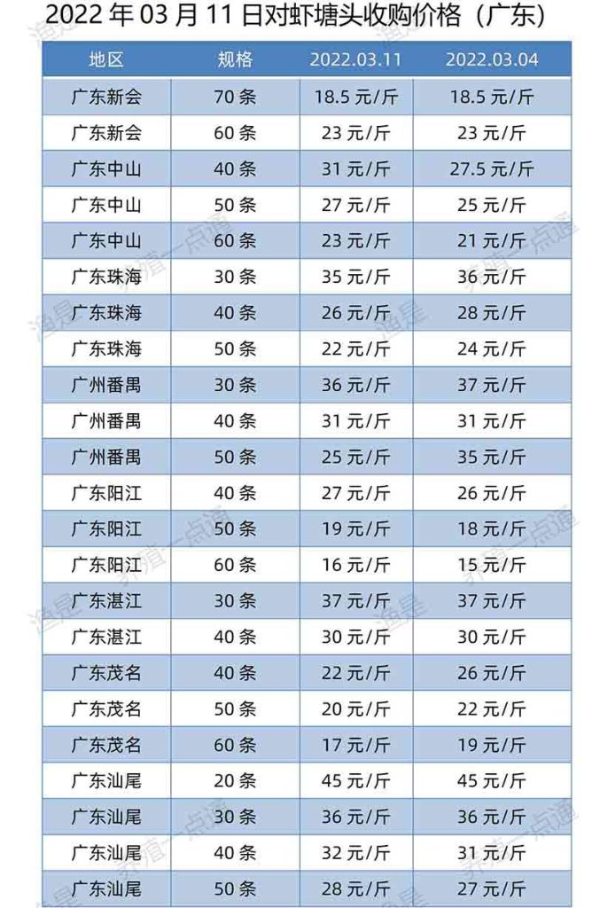 【渔是特约】2022.03.11，南美白对虾塘头收购价格（广东、江苏、山东、福建、海南）