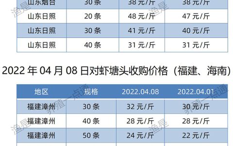 【渔是胆芪宝】2022.04.08，南美白对虾塘头收购价格（广东、江苏、山东、福建、海南）