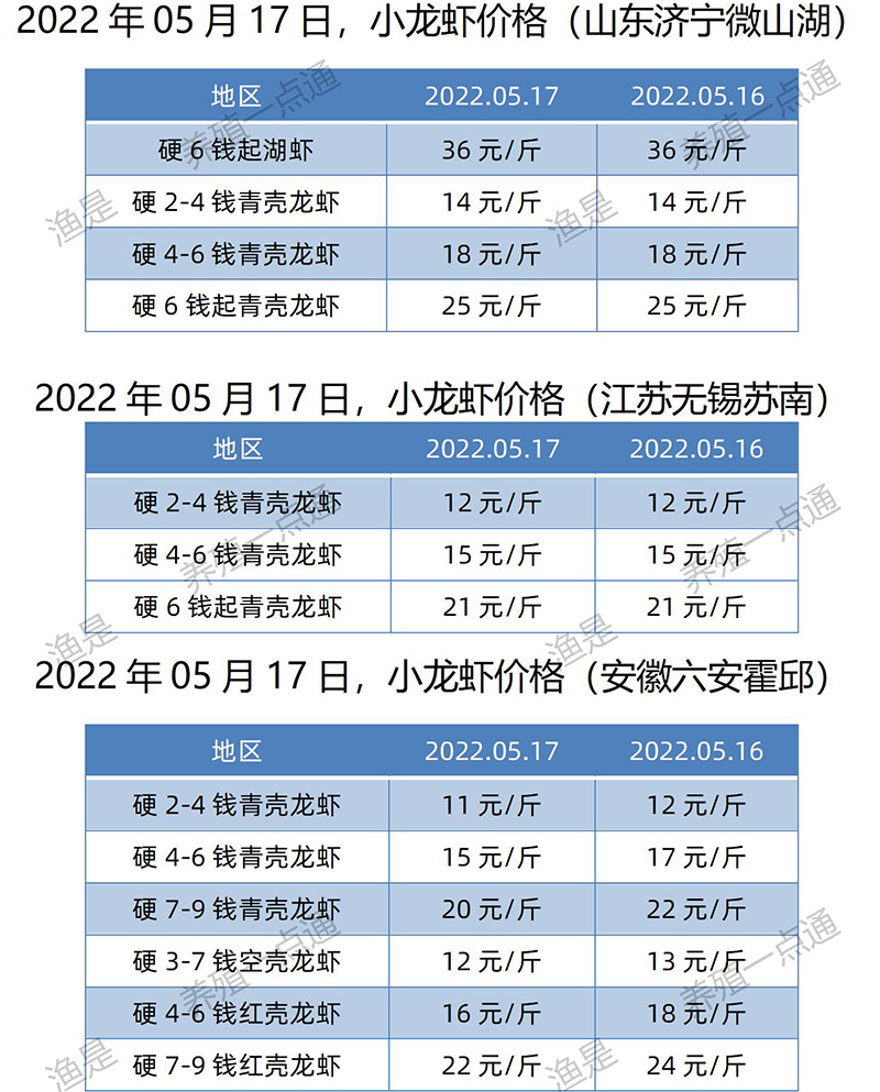 2022.05.17，小龙虾价格（江苏、安徽、山东、广东）