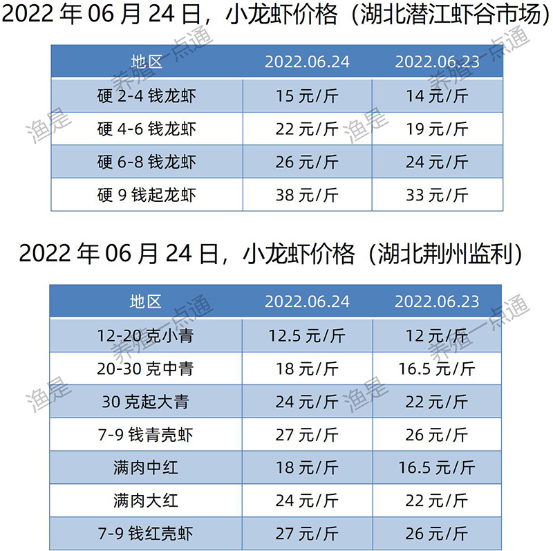 2022.06.24，小龙虾价格（湖北）