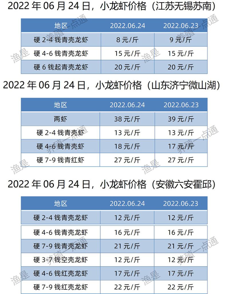 2022.06.24，小龙虾价格（江苏、安徽、山东、广东）