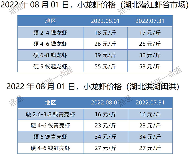 2022.08.01，小龙虾价格（湖北）