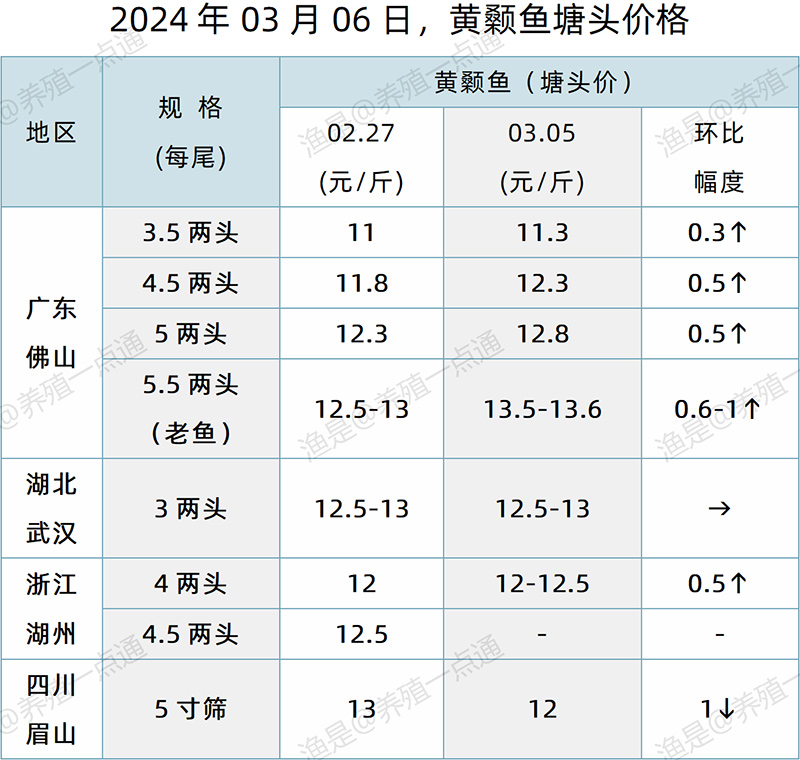 【渔是特约】2024.03.06，草鱼、黄颡鱼塘头价格