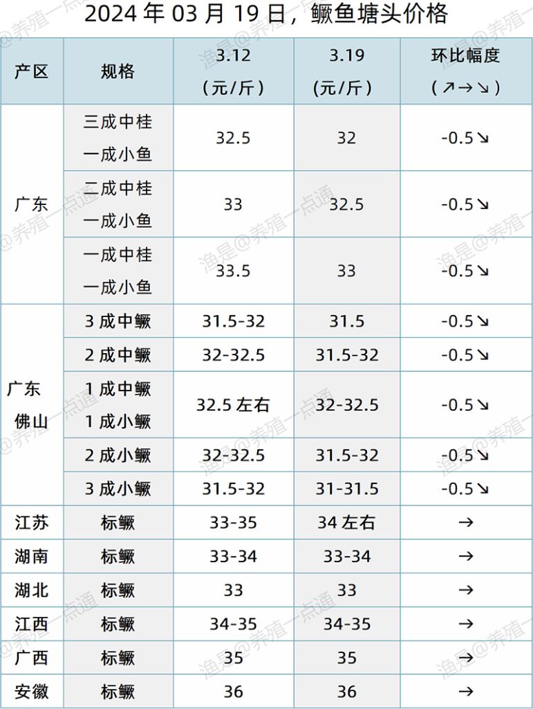 【渔是特约】2024.03.19，鳜鱼、加州鲈、黄颡鱼、生鱼塘头价格