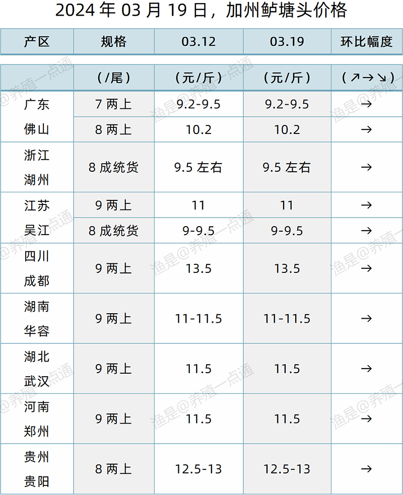 【渔是特约】2024.03.19，鳜鱼、加州鲈、黄颡鱼、生鱼塘头价格