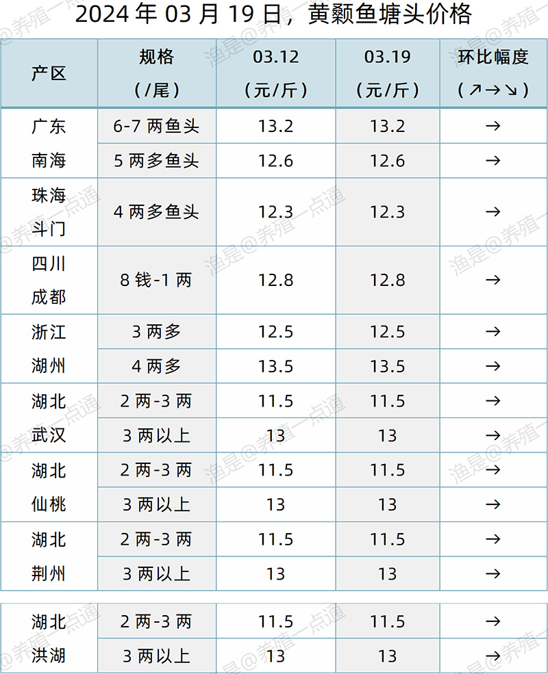 【渔是特约】2024.03.19，鳜鱼、加州鲈、黄颡鱼、生鱼塘头价格