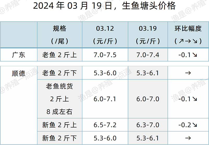 【渔是特约】2024.03.19，鳜鱼、加州鲈、黄颡鱼、生鱼塘头价格