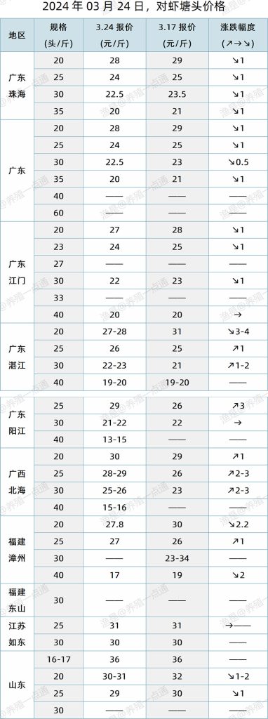 【渔是特约】2024.03.24，对虾塘头价格