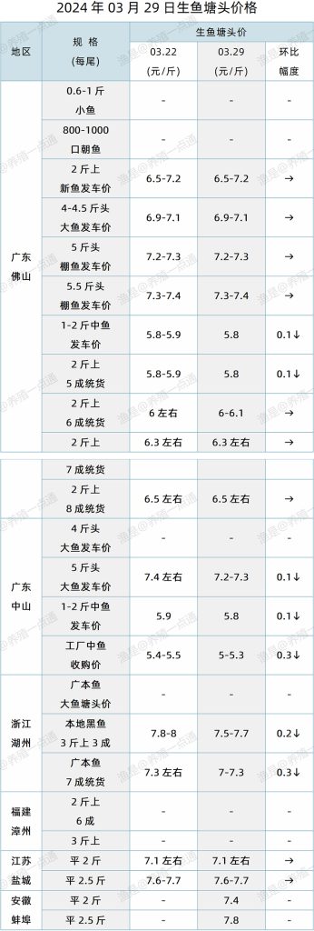 【渔是特约】2024.03.29，生鱼、石斑鱼塘头价格