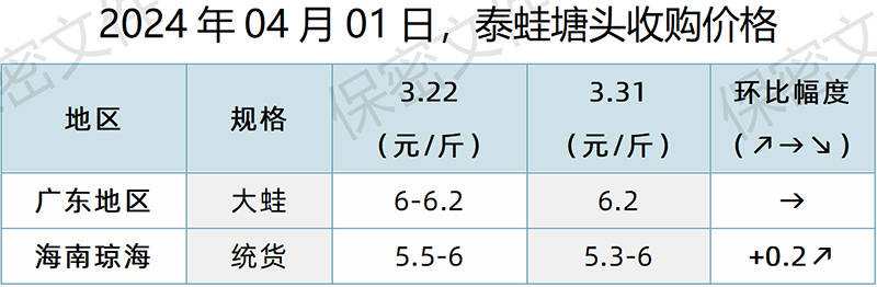 【渔是特约】2024.04.01，牛蛙、泰蛙、黑斑蛙塘头价格