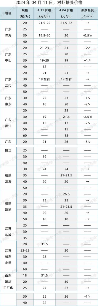 【渔是特约】2024.04.11，对虾塘头价格