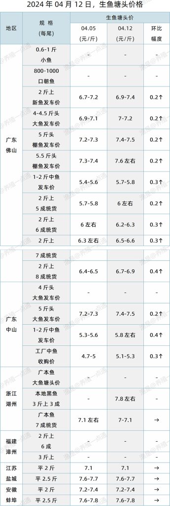 【渔是特约】2024.04.12，生鱼，罗非鱼，石斑鱼塘头价格