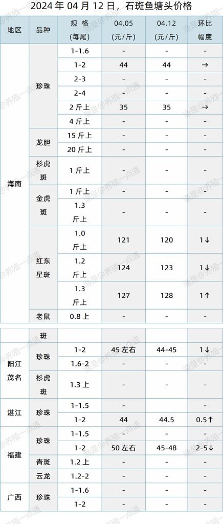 【渔是特约】2024.04.12，生鱼，罗非鱼，石斑鱼塘头价格