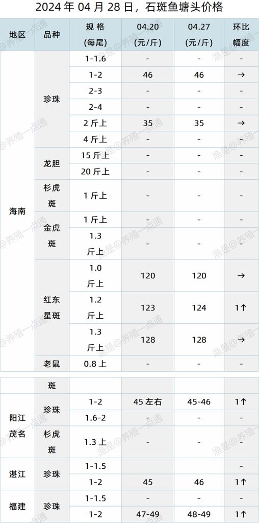 【渔是特约】2024.04.28，鳜鱼、加州鲈、石斑鱼塘头价格