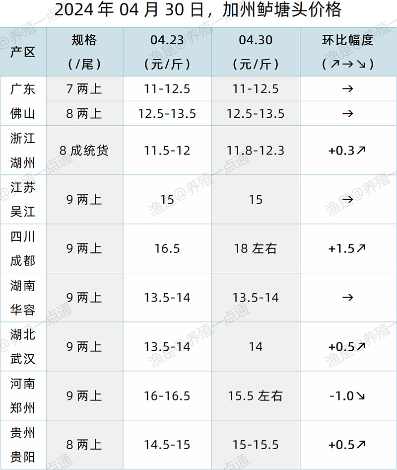 【渔是特约】2024.04.30，鳜鱼、加州鲈、黄颡鱼、生鱼塘头价格