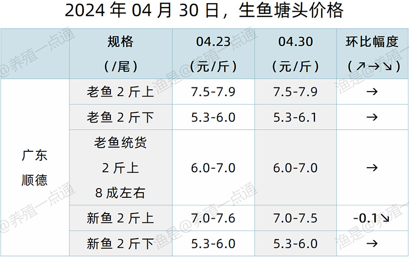 【渔是特约】2024.04.30，鳜鱼、加州鲈、黄颡鱼、生鱼塘头价格