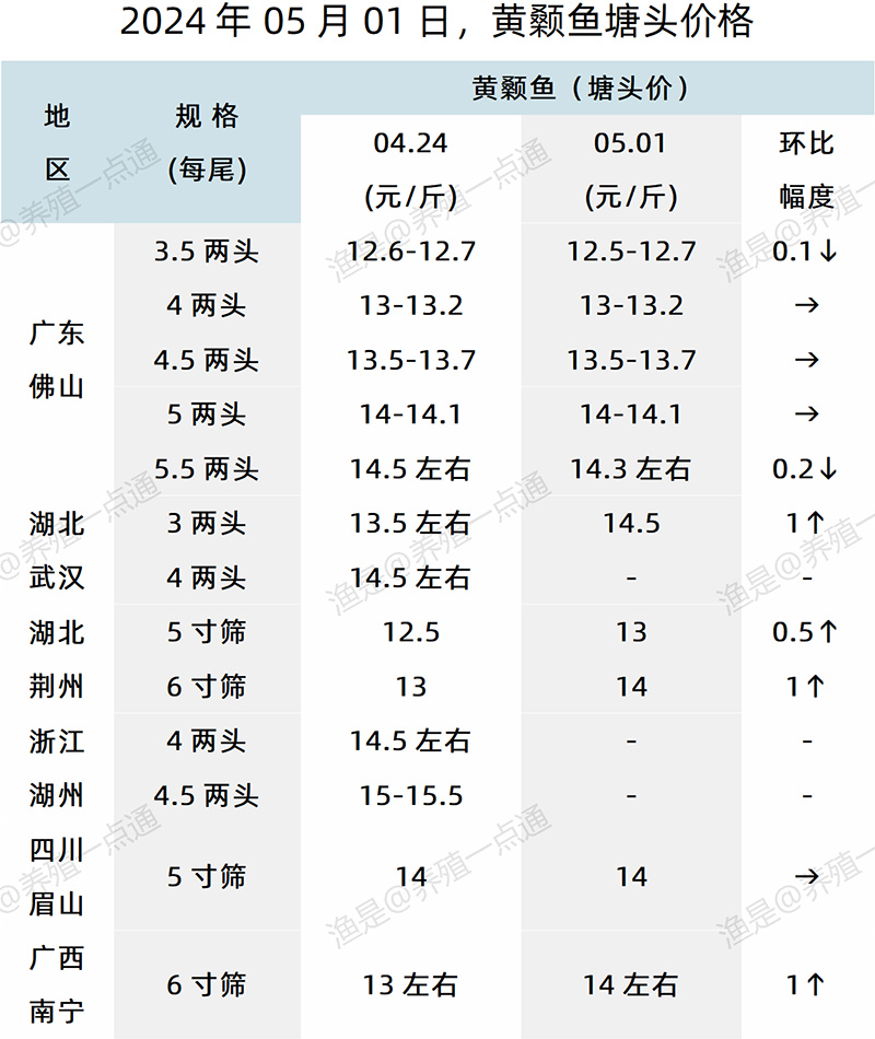 【渔是特约】2024.05.01，草鱼、黄颡鱼塘头价格