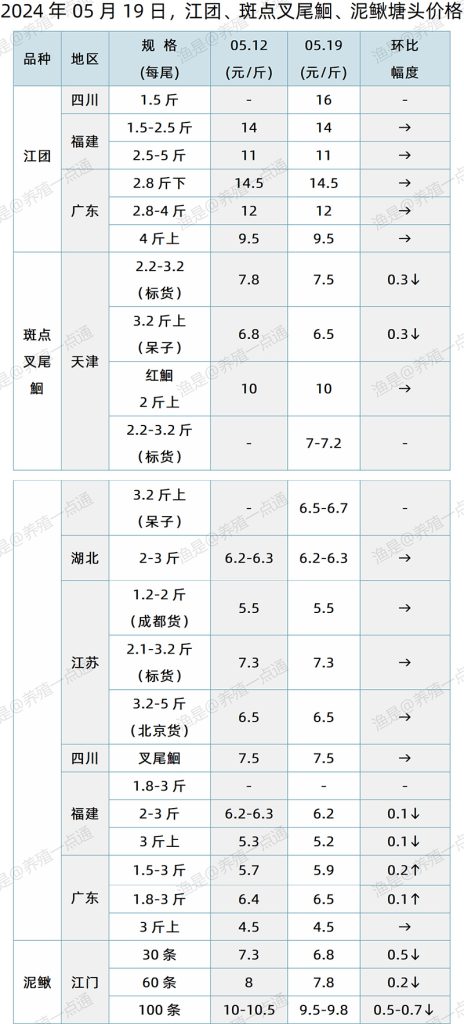 【渔是特约】2024.05.19，对虾、鳜鱼、加州鲈、江团、斑点叉尾鮰、泥鳅塘头价格