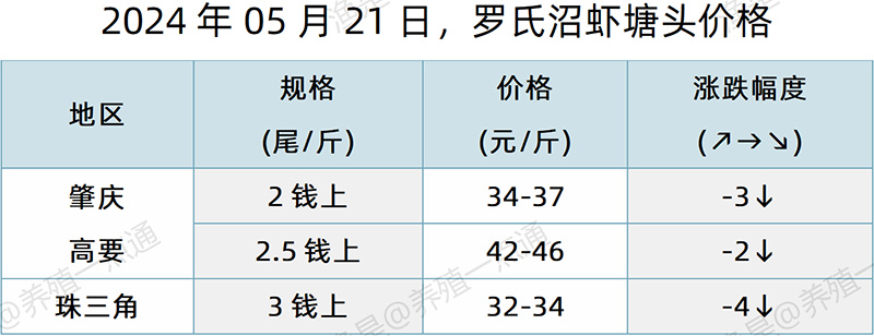 【渔是特约】2024.05.21，对虾、罗氏沼虾、鳜鱼、生鱼、加州鲈、黄颡鱼、江团塘头价格