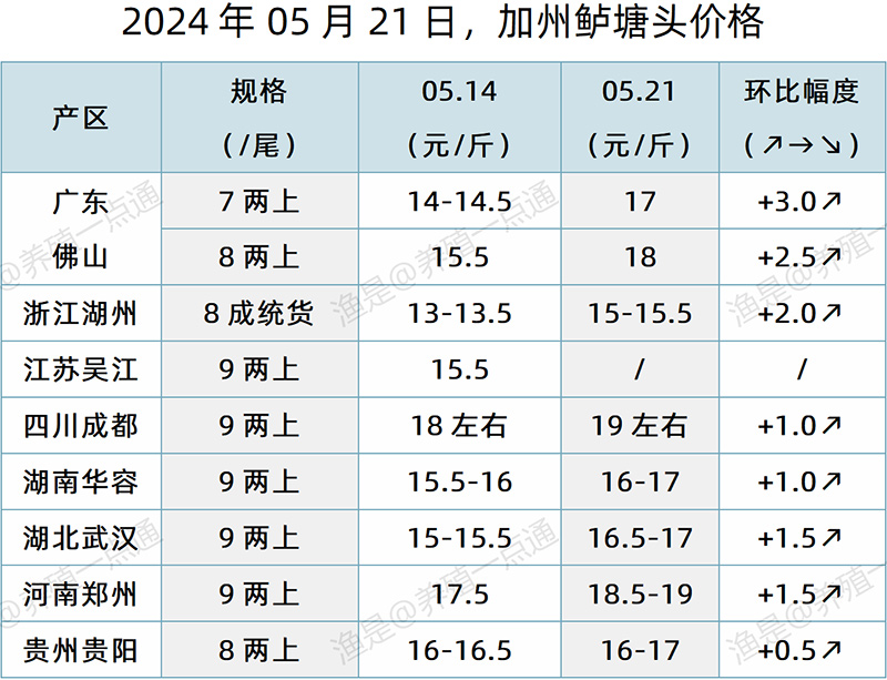 【渔是特约】2024.05.21，对虾、罗氏沼虾、鳜鱼、生鱼、加州鲈、黄颡鱼、江团塘头价格