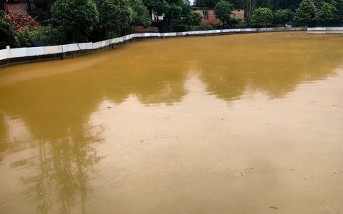 “甲藻红水”致南美白对虾游塘的分析和处理思路