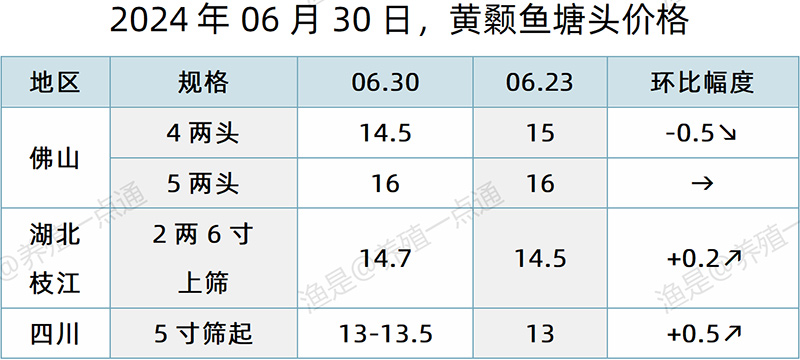 【渔是特约】2024.06.30，对虾、草鱼、生鱼、加州鲈、黄颡鱼塘头价格