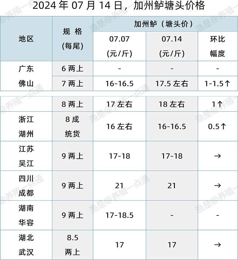 【渔是特约】2024.07.14，对虾、鳜鱼、加州鲈塘头价格