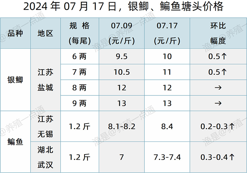 【渔是特约】2024.07.17，草鱼、银鲫、鳊鱼、黄颡鱼塘头价格