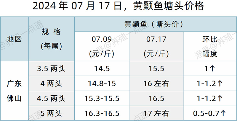 【渔是特约】2024.07.17，草鱼、银鲫、鳊鱼、黄颡鱼塘头价格