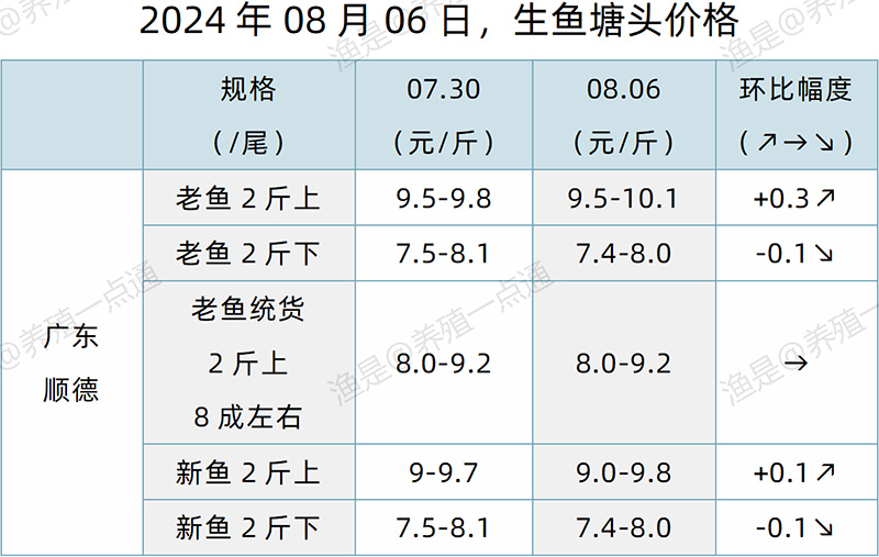 【渔是特约】2024.08.06，生鱼、鳜鱼、加州鲈、黄颡鱼、江团塘头价格