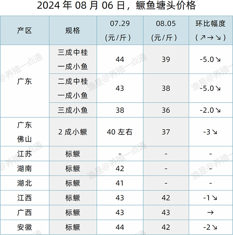 【渔是特约】2024.08.06，生鱼、鳜鱼、加州鲈、黄颡鱼、江团塘头价格