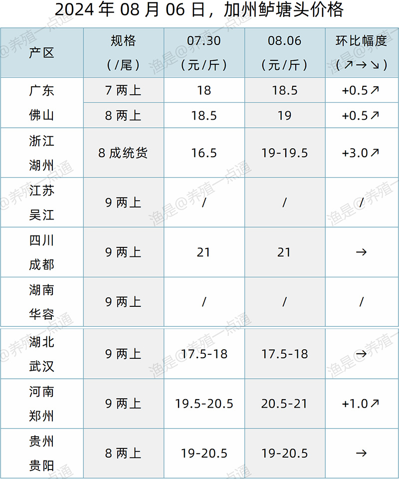 【渔是特约】2024.08.06，生鱼、鳜鱼、加州鲈、黄颡鱼、江团塘头价格