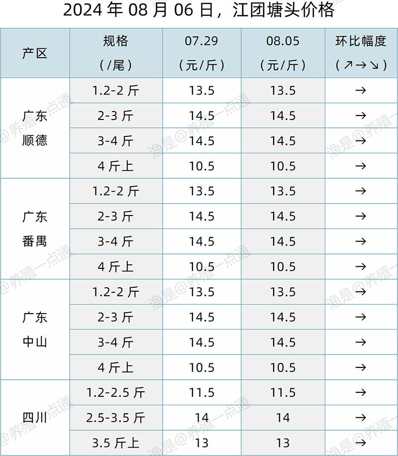 【渔是特约】2024.08.06，生鱼、鳜鱼、加州鲈、黄颡鱼、江团塘头价格