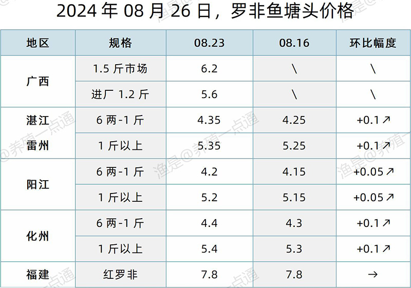 【渔是特约】2024.08.26，罗非鱼、草鱼、生鱼、斑点叉尾鮰、黄颡鱼塘头价格