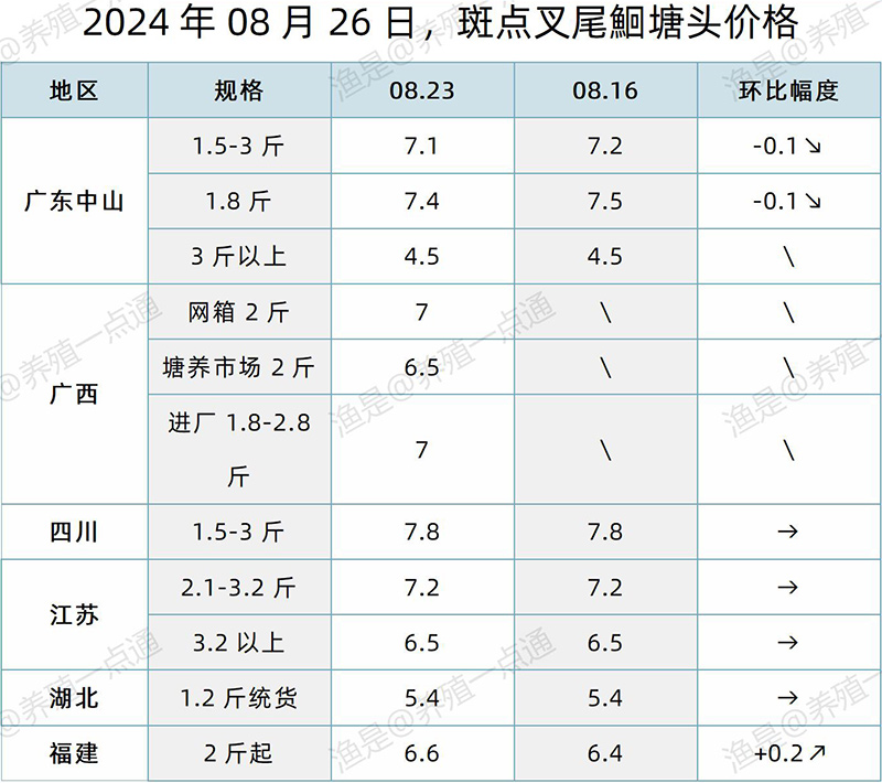 【渔是特约】2024.08.26，罗非鱼、草鱼、生鱼、斑点叉尾鮰、黄颡鱼塘头价格