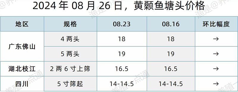 【渔是特约】2024.08.26，罗非鱼、草鱼、生鱼、斑点叉尾鮰、黄颡鱼塘头价格