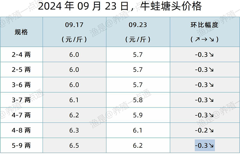 【渔是特约】2024.09.23，牛蛙、泰蛙、黑斑蛙塘头价格