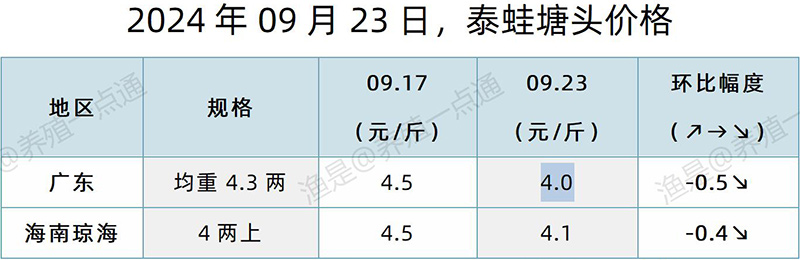 【渔是特约】2024.09.23，牛蛙、泰蛙、黑斑蛙塘头价格