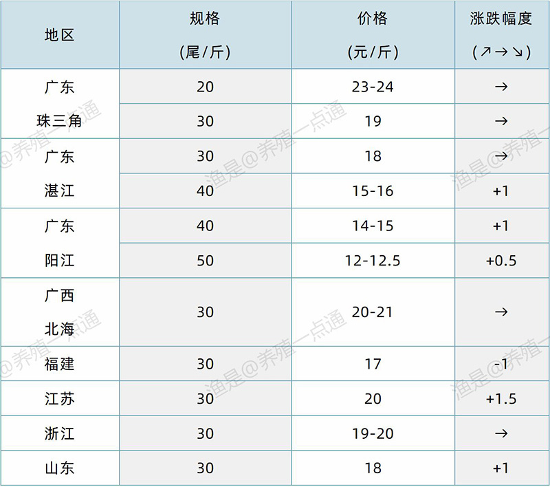 2024.10.29，对虾塘头价格