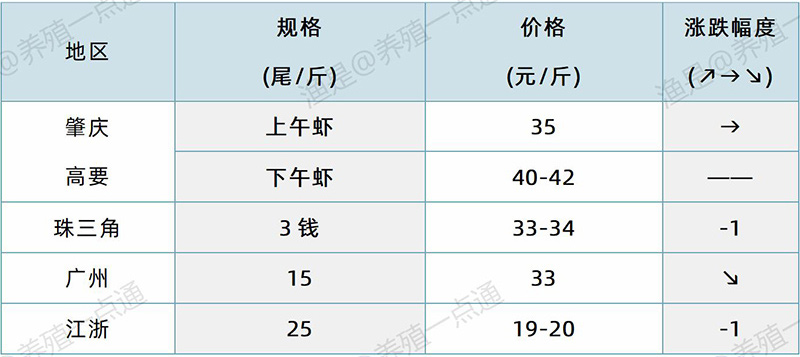 2024.10.29，罗氏沼虾塘头价格