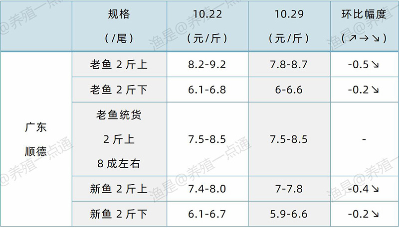 2024.10.29，生鱼塘头价格